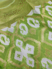 Green Chanderi 12AUG16E