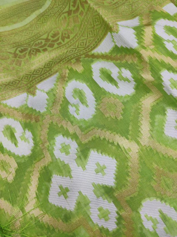 Green Chanderi 12AUG16E