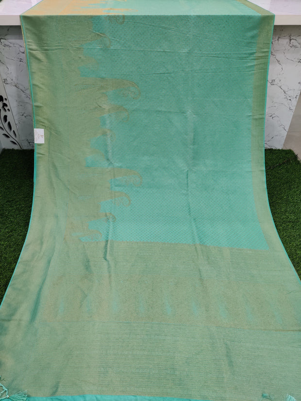 Light Green Banarasi 19AUG14E