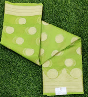 Green Banaras Organza 27Sep11