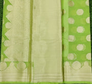 Green Banarasi Organza 9SEP13