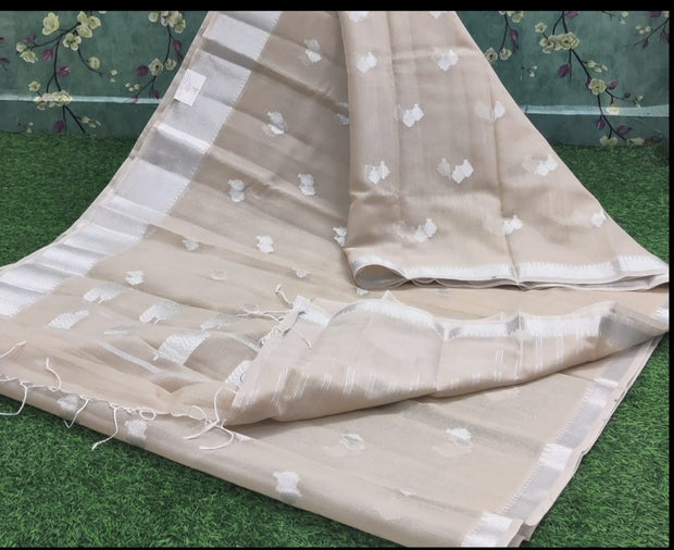 Light Cream Kota 23JUL10