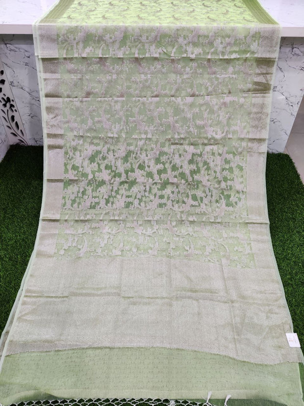 Light Green Banarasi Organza 17AUG9E