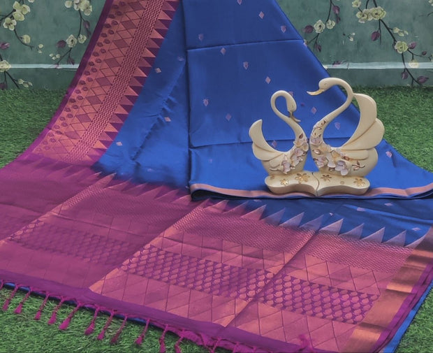 Robbin Blue LW Pattu 26JAN1