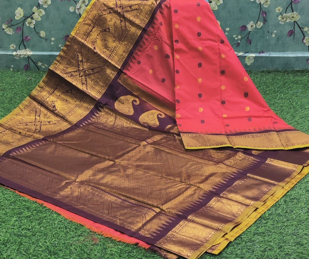 Tomato Red Gadwal Pattu 14MAR9