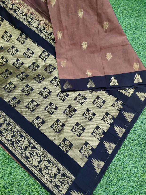 Brown Handloom Gadwal 23APR3