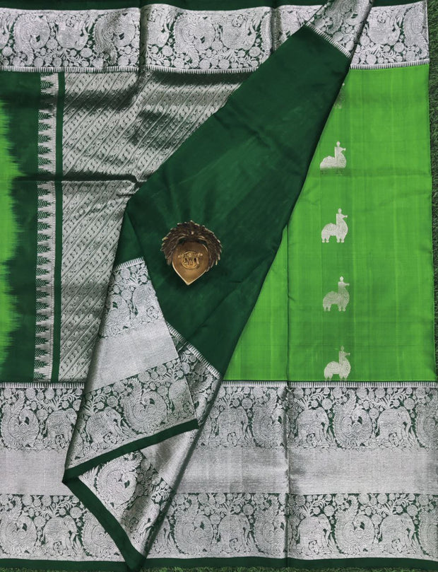 Green Venkatagiri Pattu 12JAN2