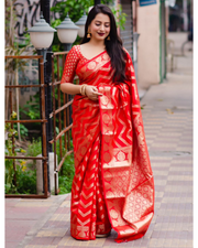 Red Soft Silk Banarasi Saree